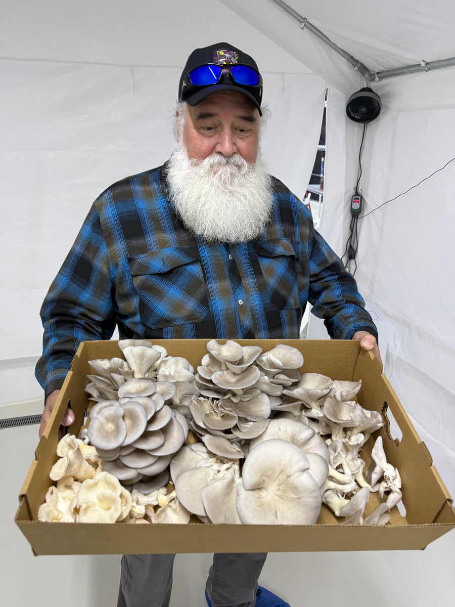 Rise and Shine Mushrooms