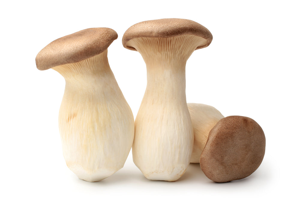Fresh King Trumpet Mushrooms