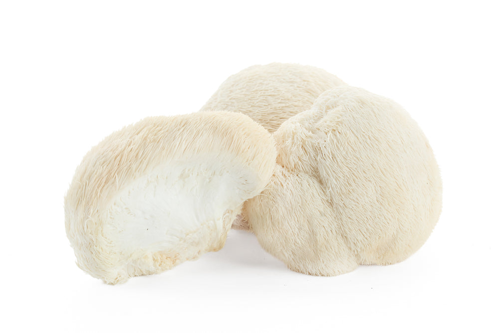 Fresh Lion's Mane Mushrooms