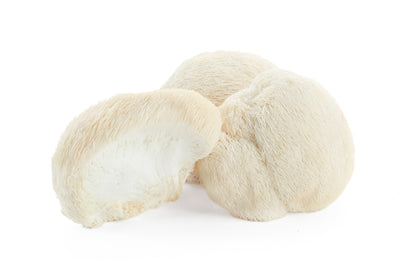 Fresh Lion's Mane Mushrooms