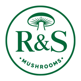 Rise and Shine Mushrooms