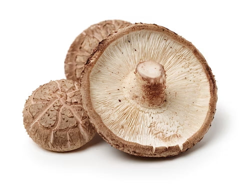 Fresh Shiitake Mushrooms